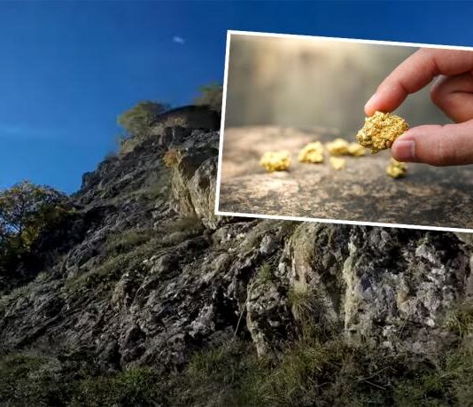 Kineski Ziđin ulažio pet miliona dolara u istraživanje zlata i bakra na Rogozni