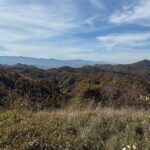 Iz Rogozne samo kulja zlato, Australijanci dovlače još bušilica – Na Gradini udarili u novu žilu sa više od 10 grama po toni