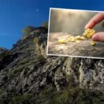 Zbor građana Novog Pazara: U fokusu problem sa rudnikom na Rogozni