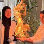 Održan “Festival hemije” u OŠ Avdo Međedović