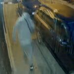 Hoće li neko reagovati prije tragedije? Novi napadi pasa, građani bježe na krovove automobila (VIDEO)