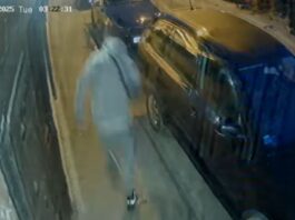 Hoće li neko reagovati prije tragedije? Novi napadi pasa, građani bježe na krovove automobila (VIDEO)