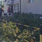Drveće zamijenili betonom: Desetak stabala uklonjeno iz dvorišta OŠ “Stefan Nemanja”