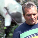 Sandžak- Psi lutalice ponovo zaklali stado ovaca (VIDEO)
