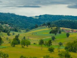 Počinje izrada Prostornog plana područja Parka prirode “Golija”