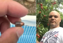 Jasmin krenuo da čisti dječiji bazen, pa se šokirao: “Ovo je moglo da ubije nekog” (Video)