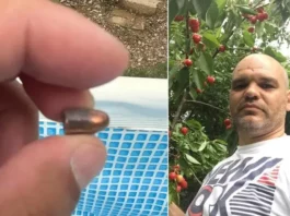 Jasmin krenuo da čisti dječiji bazen, pa se šokirao: “Ovo je moglo da ubije nekog” (Video)