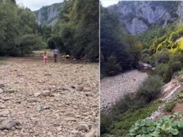 Ibar ponovo presušio: Ribolovci i ekolozi apeluju na spas riječnog ekosistema