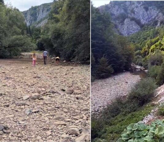 Ibar ponovo presušio: Ribolovci i ekolozi apeluju na spas riječnog ekosistema