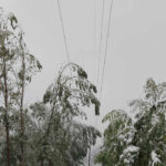 Elektrodistribucije Srbije: Smanjen broj korisnika bez električne energije, ekipe na terenu