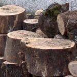 Hajrat obezbijedio ogrijev za najugroženije porodice u Priboju