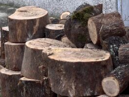 Hajrat obezbijedio ogrijev za najugroženije porodice u Priboju