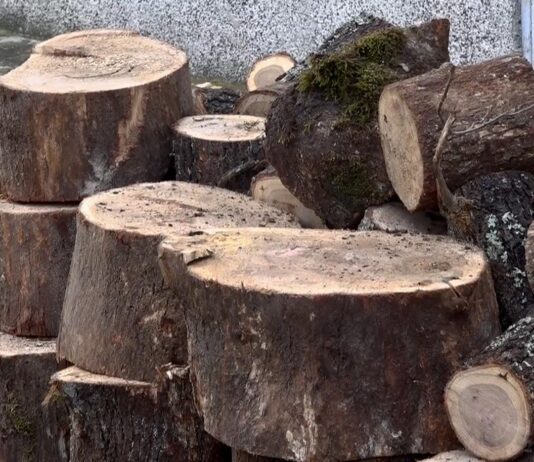 Hajrat obezbijedio ogrijev za najugroženije porodice u Priboju