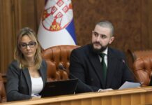 Zukorlić predsjedavao vladinim odborom za odnose sa inostranstvom
