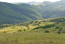 Neverovatan snimak Peštera: Ovakav prizor rijetko se viđa