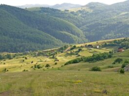 Neverovatan snimak Peštera: Ovakav prizor rijetko se viđa