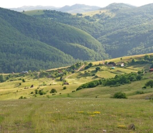 Neverovatan snimak Peštera: Ovakav prizor rijetko se viđa