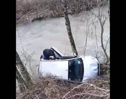 Auto završio u rijeci, vozač nemoćan – Sekunde su ga dijelile od tragedije: Hrabri Bjelopoljac skočio u pomoć bez razmišljanja