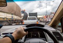 Vozači trljali oči u nevjerici – Ono što je stajalo pored puta u Sandžaku obilazi mreže