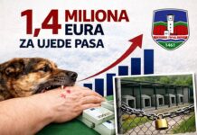 SPP Novi Pazar: Za 10 godina Grad Novi Pazar isplatio oko 1,4 miliona eura za ujede pasa