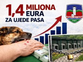 SPP Novi Pazar: Za 10 godina Grad Novi Pazar isplatio oko 1,4 miliona eura za ujede pasa
