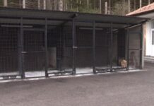 MEMIĆ PRIZNAO – Zahvaljući politici SPP riješili smo problem pasa lutalica u Pazaru