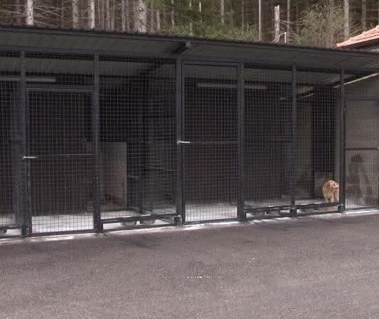 MEMIĆ PRIZNAO – Zahvaljući politici SPP riješili smo problem pasa lutalica u Pazaru