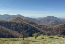 Zbor građana Rogozna: Odbijamo neformalne razgovore pred protest, zdravlje i voda nisu tema za pregovore