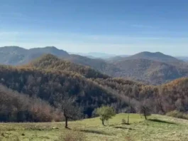 Zbor građana Rogozna: Odbijamo neformalne razgovore pred protest, zdravlje i voda nisu tema za pregovore