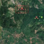 Kineski Zijin se širi prema Rogozni