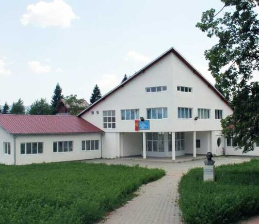 Ukradena bista narodnog heroja Miluna Ivanovića u Biševu kod Rožaja