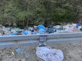 Divlja deponija u blizini turističkog bisera Novog Pazara – Uginule životinje na sve strane