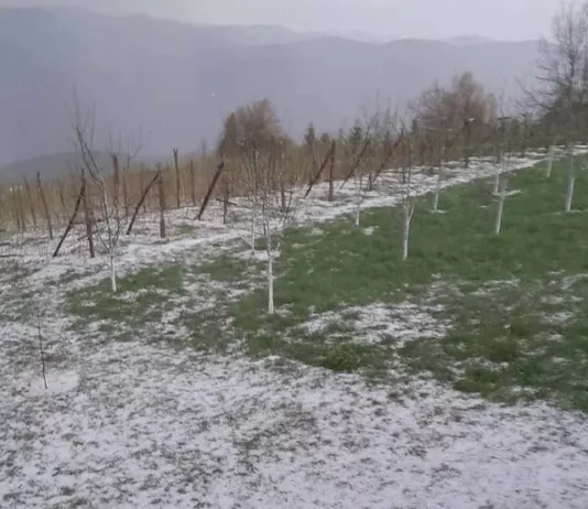 Nevrijeme praćeno gradom zahvatilo sela kod Prijepolja, velika šteta na malinjacima