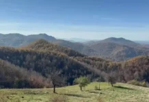 Zborovi građana Novi Pazar: Odbijamo učešće u dogovorima i procesima vezanim za Rogoznu koje organizuje Zlatna Reka Resources
