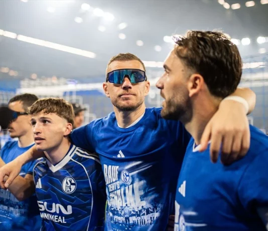 Muslić, Džeko i Katić vratili Schalke u Bundesligu