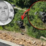 Tragedija kod Bijelog Polja: U teškoj nesreći poginuo načelnik granične policije iz Prijepolja